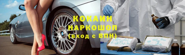 тгк Алзамай