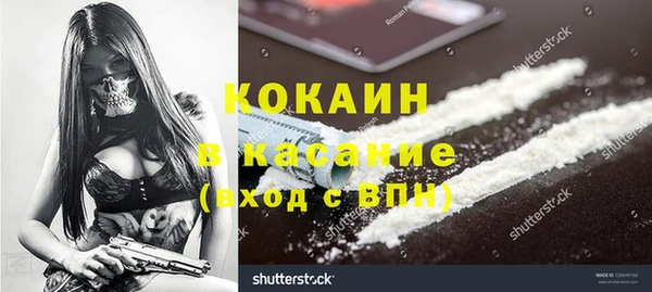 тгк Алзамай