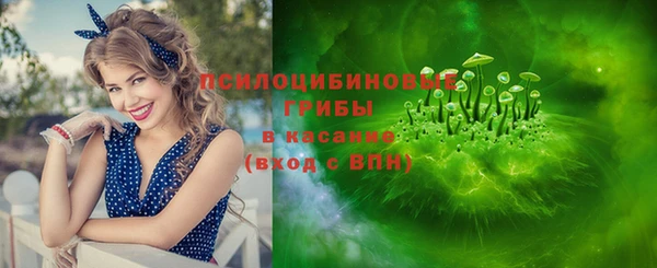тгк Алзамай